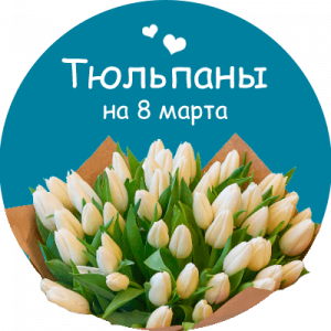 Купить тюльпаны в Белово
